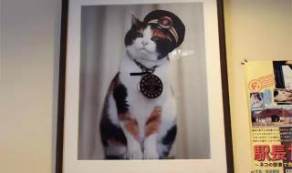 哪个版本的传奇人气高 现在人气最高的传奇